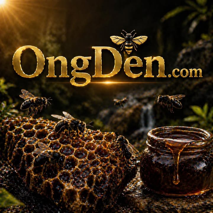ongden.com