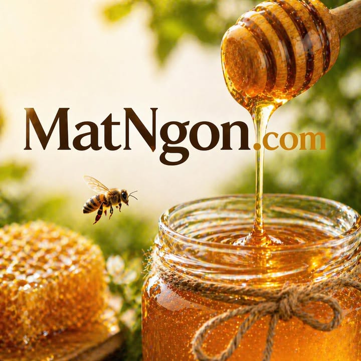 matngon.com