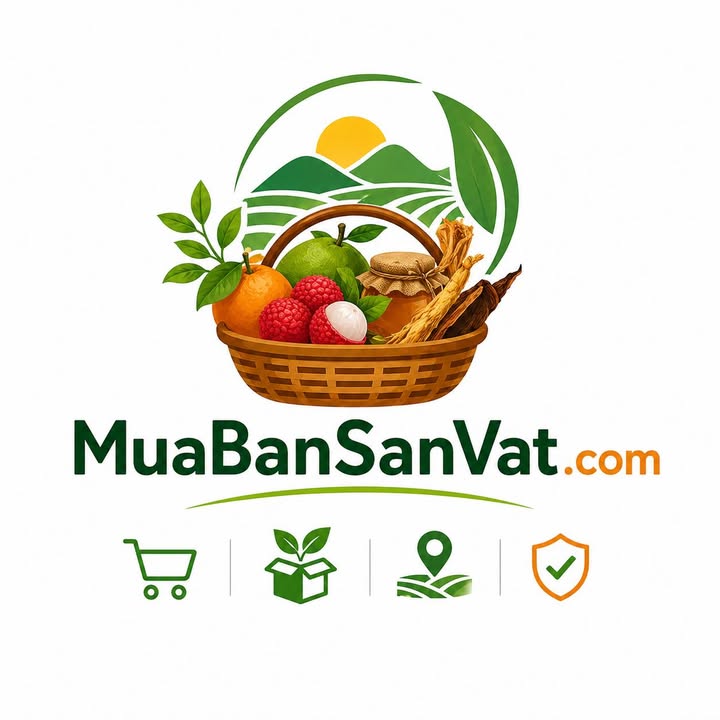 muabansanvat.com