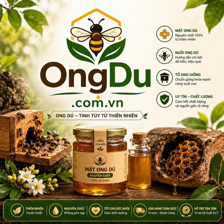 ongdu.com.vn