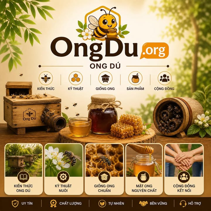 ongdu.org