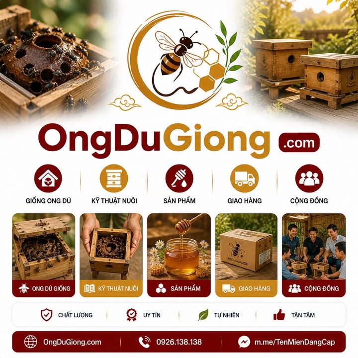 ongdugiong.com
