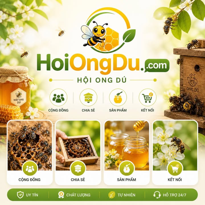 hoiongdu.com