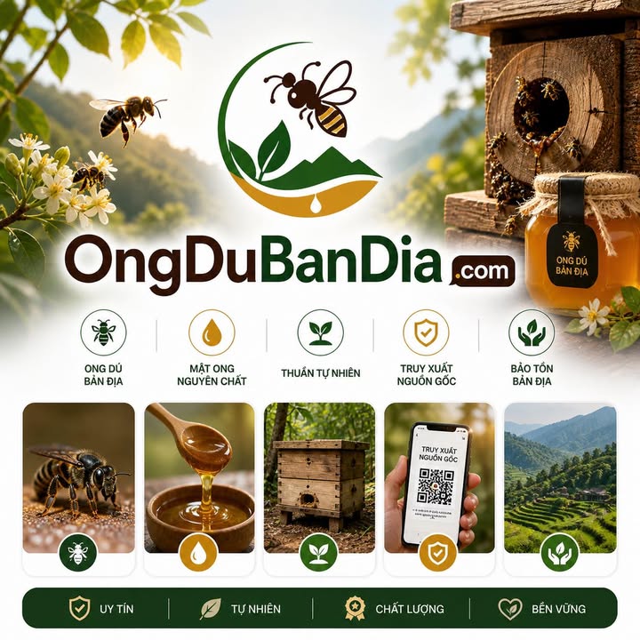 ongdubandia.com