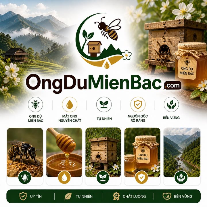ongdumienbac.com