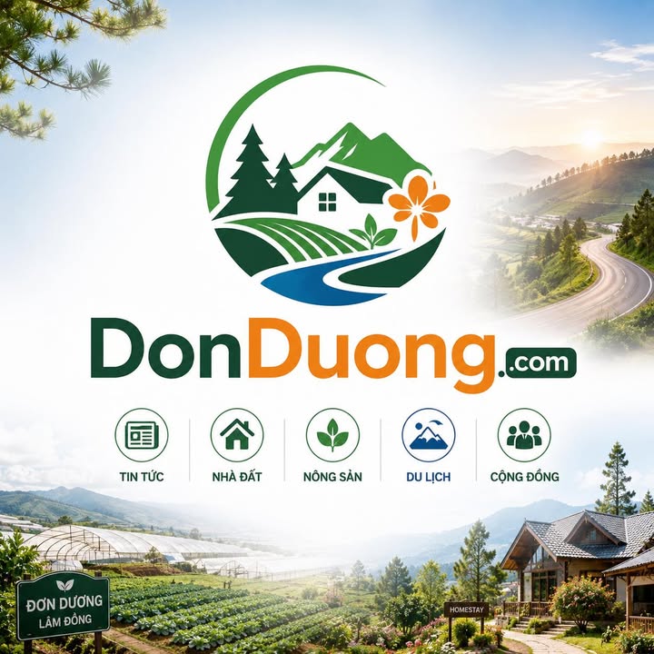 donduong.com