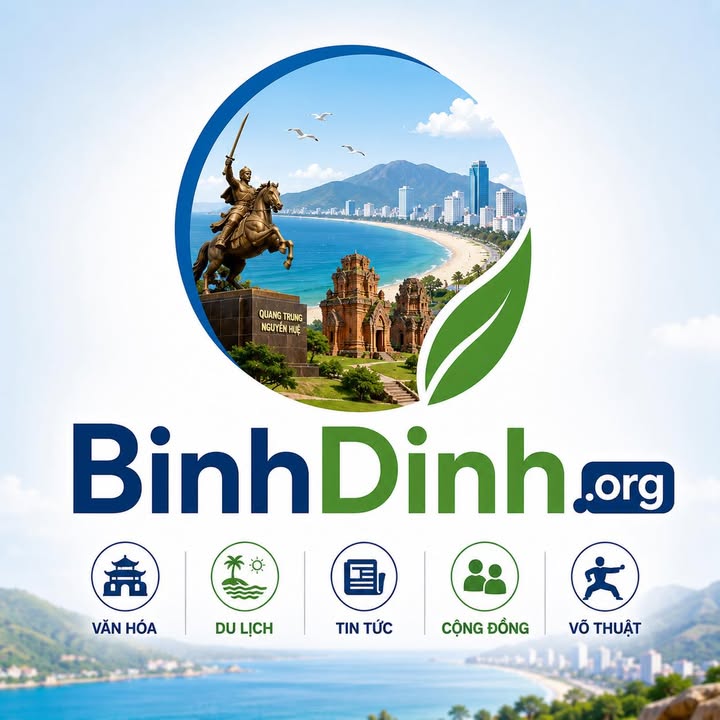 binhdinh.org