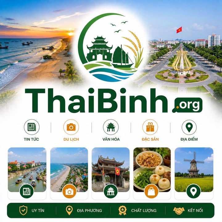 thaibinh.org